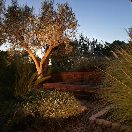 Casa Do Campo - Offers Peace And Luxury Combined With Simplicity And Heated Private Saltwaterpool Vakantiehuis Silves